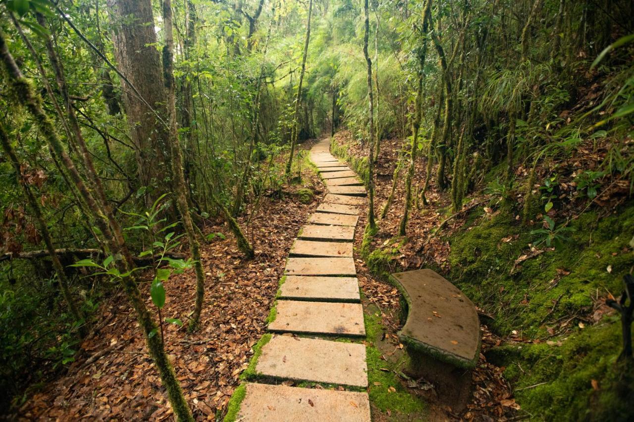Dantica Cloud Forest Lodge San Gerardo de Dota Exterior photo