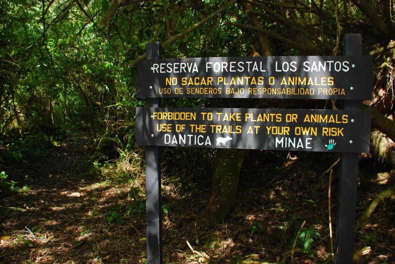 Dantica Cloud Forest Lodge San Gerardo de Dota Exterior photo